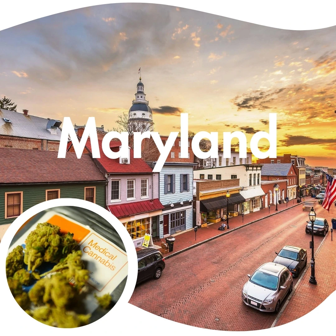 Maryland-Weed-Card